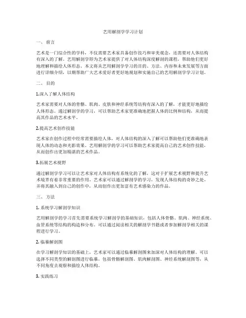 艺用解剖学学习计划