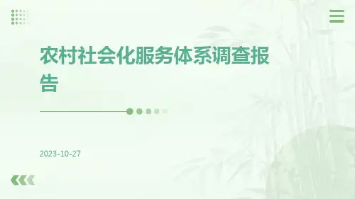 农村社会化服务体系调查报告