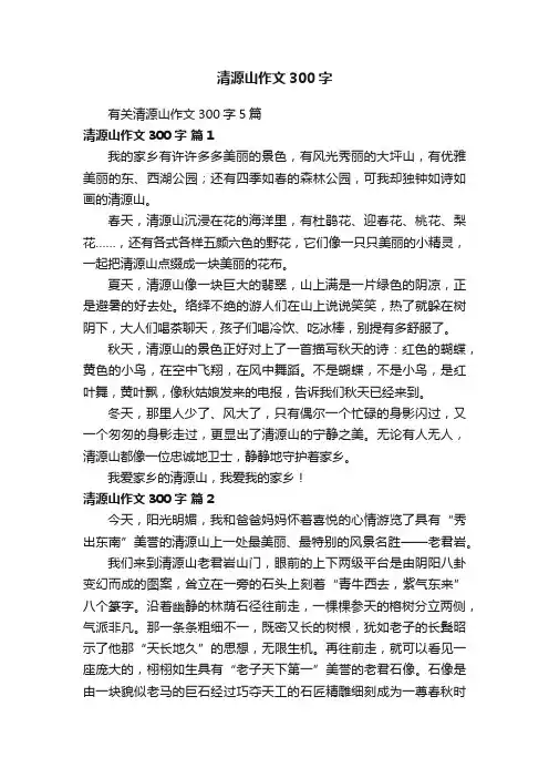 有关清源山作文300字5篇