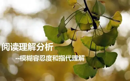 阅读理解分析--模糊容忍度和指代理解(共19张PPT)
