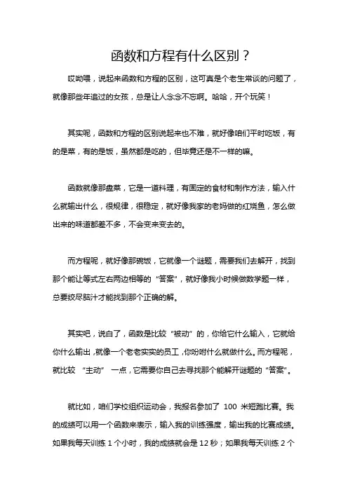 函数和方程有什么区别？