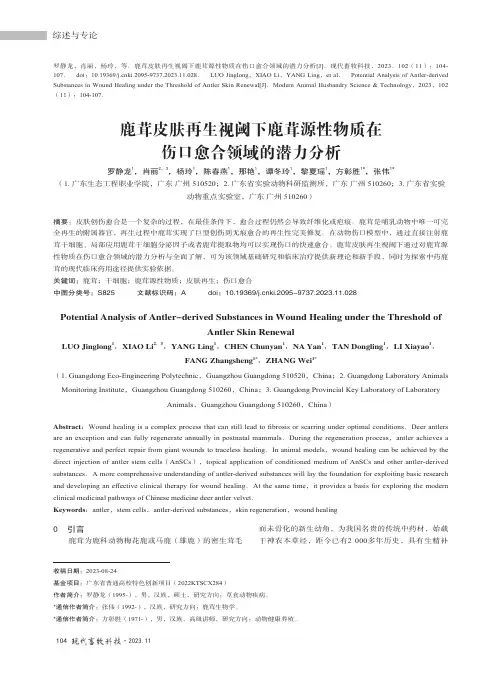 鹿茸皮肤再生视阈下鹿茸源性物质在伤口愈合领域的潜力分析
