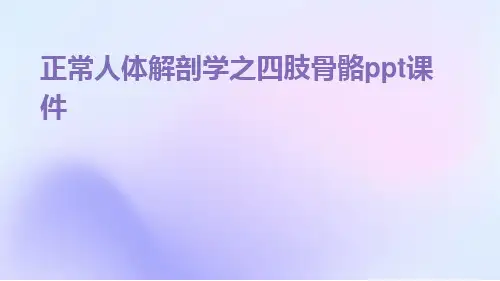 正常人体解剖学之四肢骨骼ppt课件