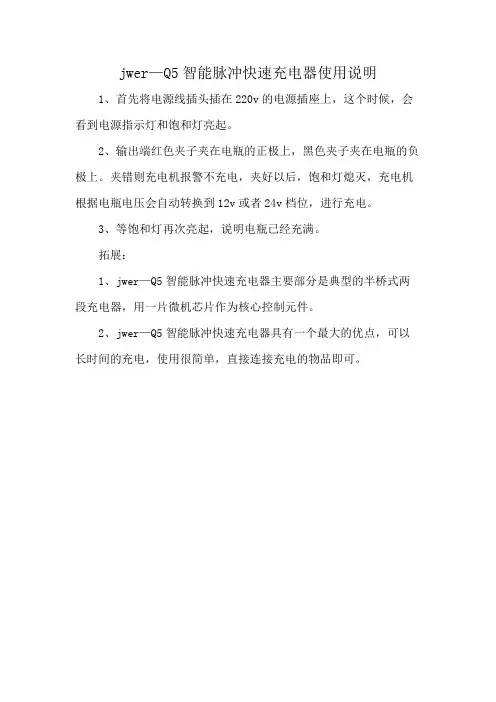 jwer—Q5智能脉冲快速充电器使用说明