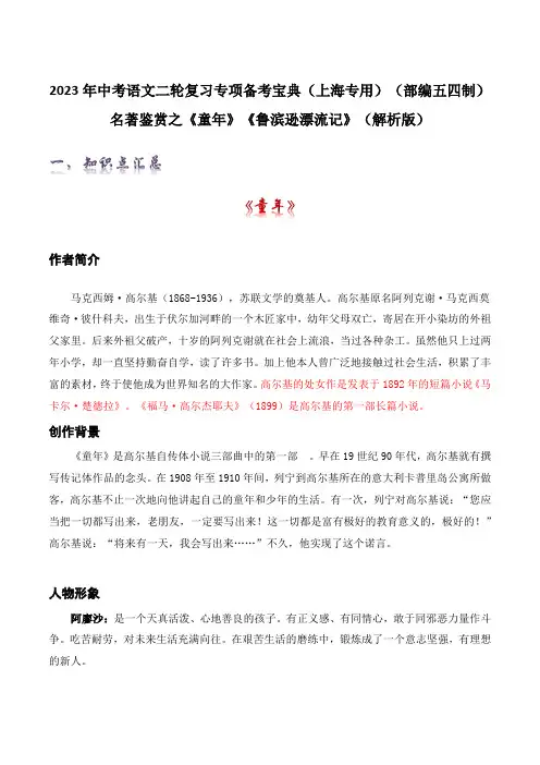 名著鉴赏之《童年》《鲁滨逊漂流记》(解析版)-2023年中考语文二轮复习专项备考宝典(部编五四制)