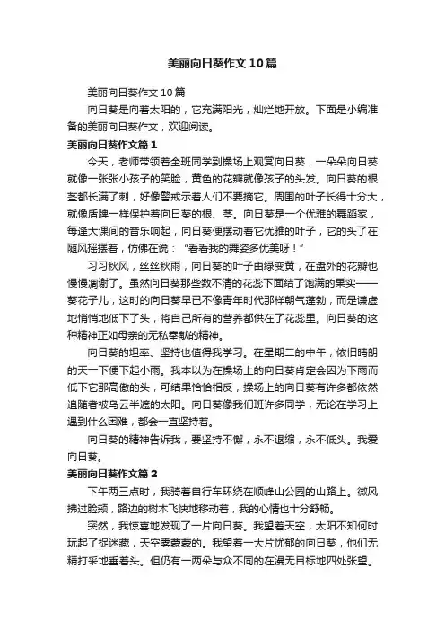 美丽向日葵作文10篇