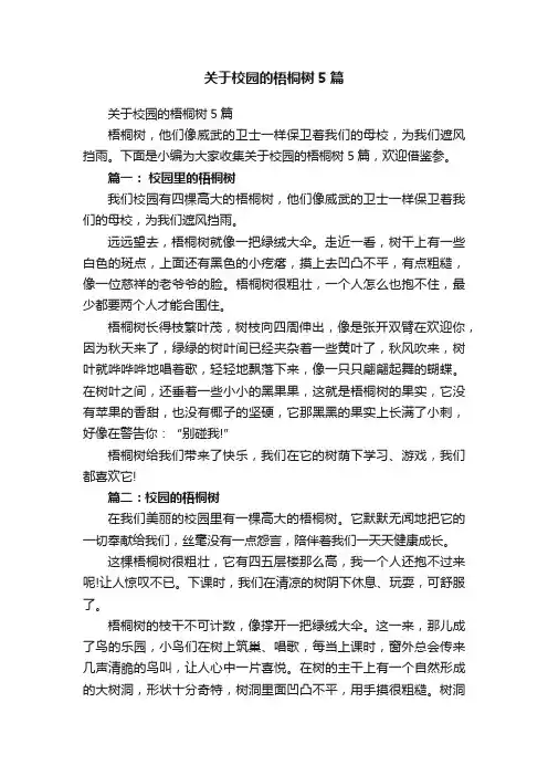 关于校园的梧桐树5篇