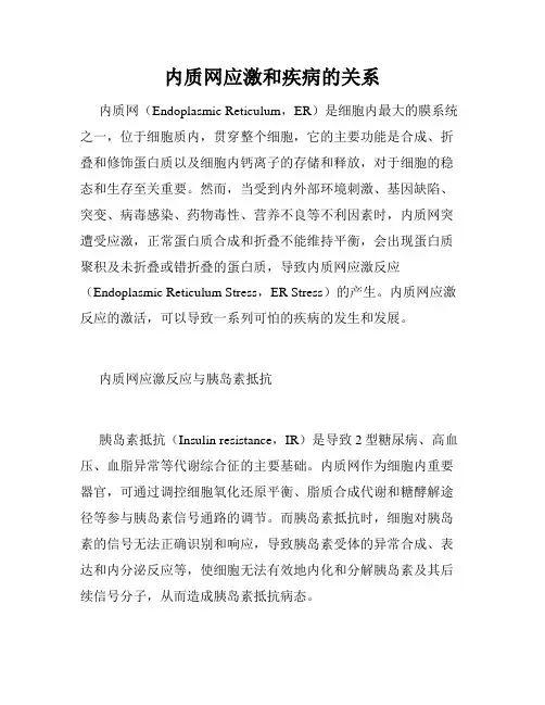 内质网应激和疾病的关系