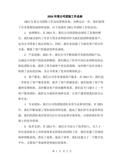2024年某公司团险工作总结