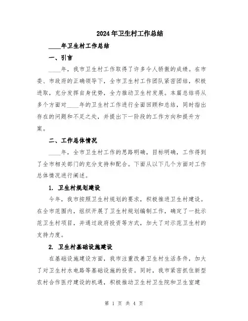 2024年卫生村工作总结