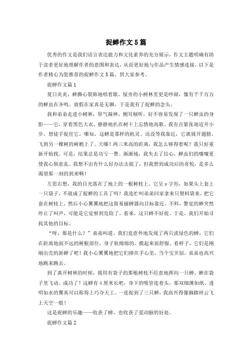 捉蝉作文5篇
