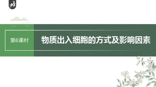 第二单元 第6课时 物质出入细胞的方式及影响因素