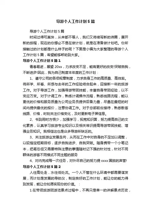 导游个人工作计划5篇