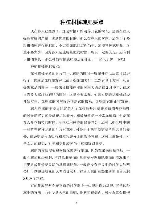 种植柑橘施肥要点