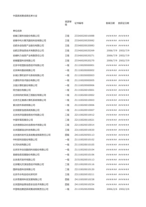 中国系统集成商