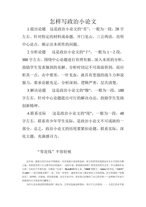 怎样写政治小论文