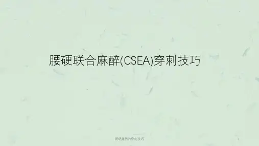 腰硬麻醉的穿刺技巧课件