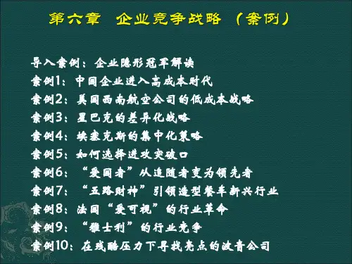 chapter.6 企业竞争战略(业务层)(案例)