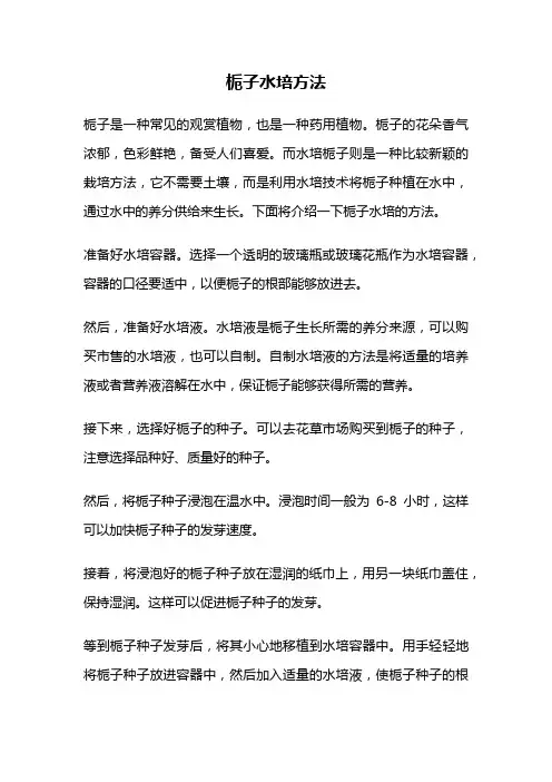 栀子水培方法