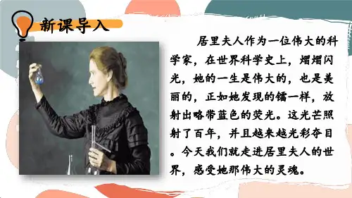 《美丽的颜色》ppt课件