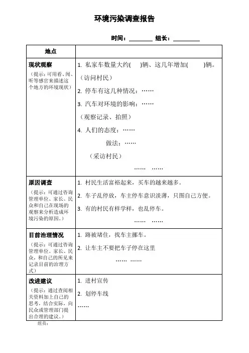 环境污染调查报告 -范例