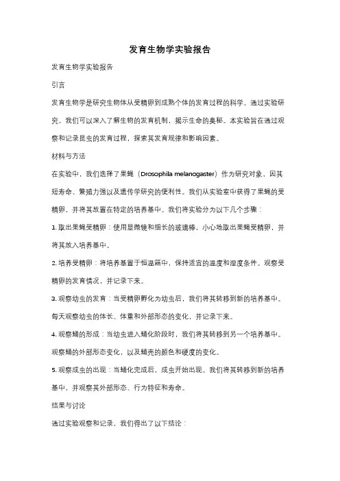 发育生物学实验报告