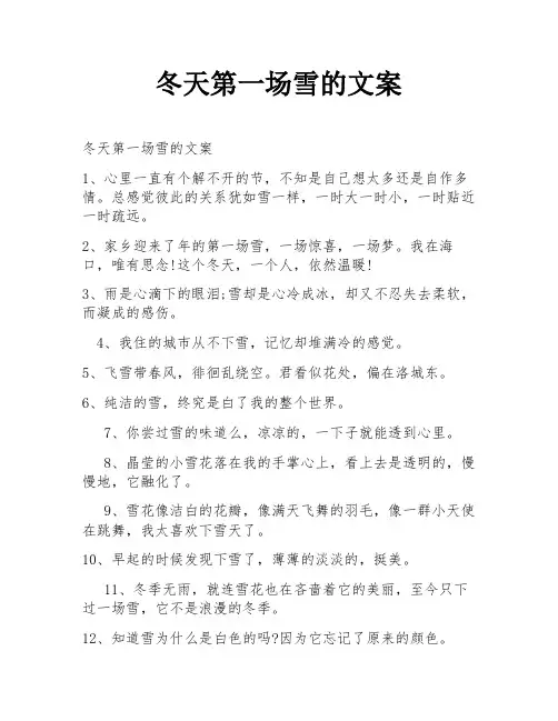 冬天第一场雪的文案