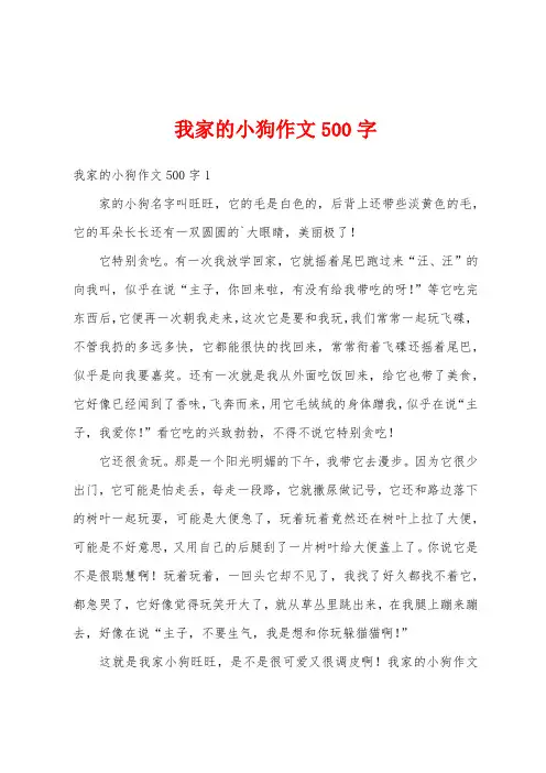 我家的小狗作文500字
