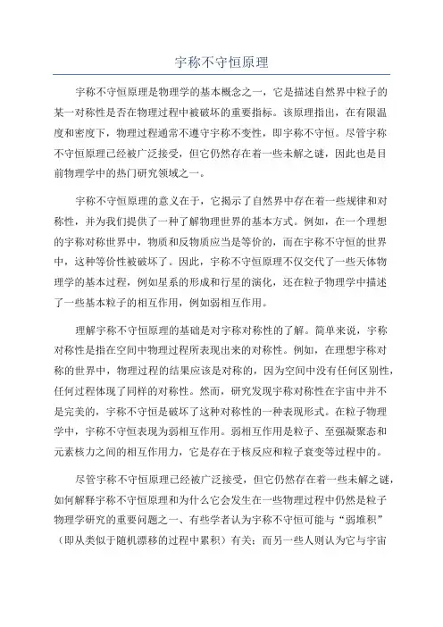 宇称不守恒原理