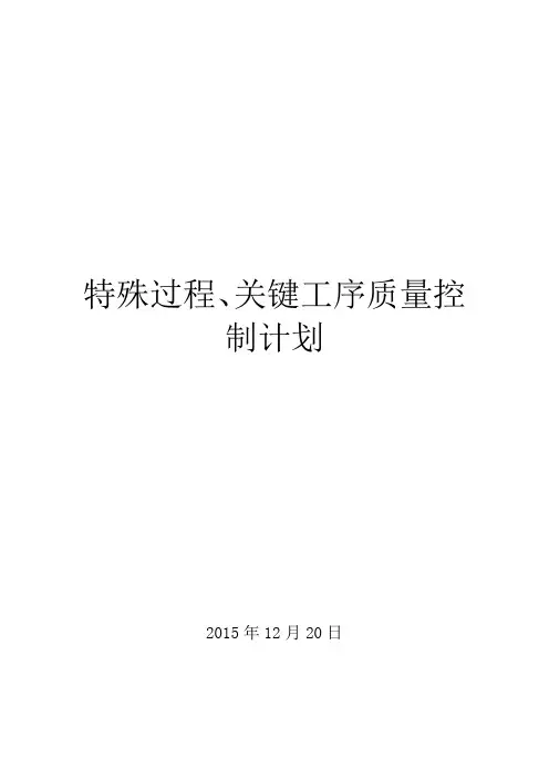 特殊过程关键工序控制计划