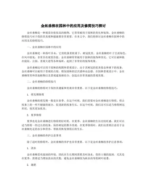 金丝垂柳在园林中的应用及修剪技巧探讨