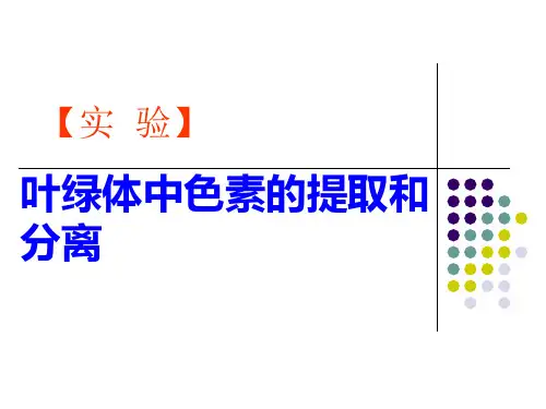 叶绿体中色素的提取与分离实验