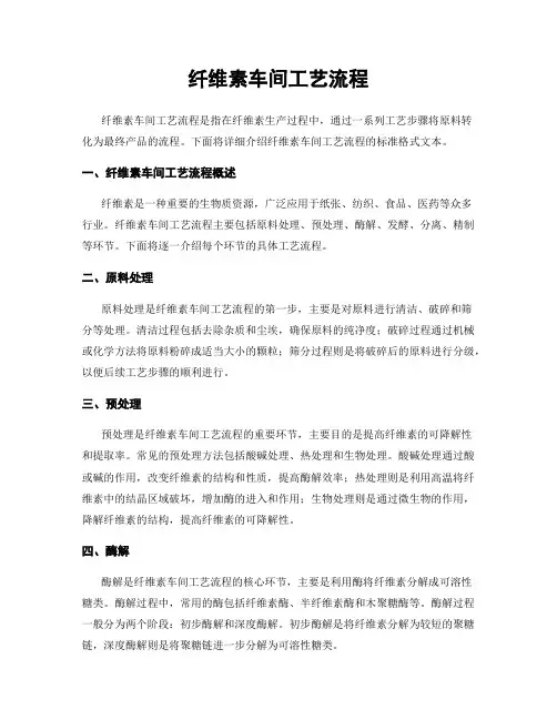 纤维素车间工艺流程