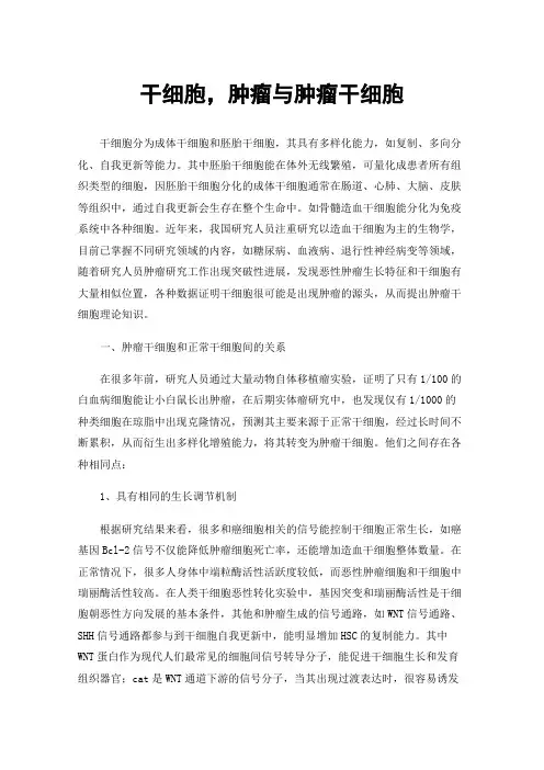 干细胞，肿瘤与肿瘤干细胞