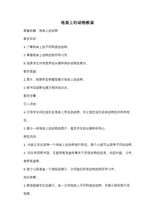 地面上的动物教案