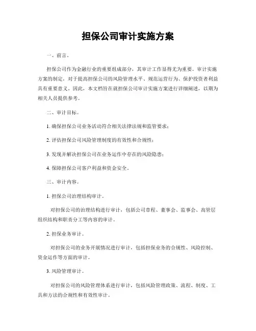 担保公司审计实施方案