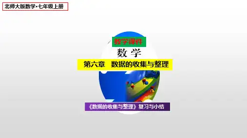 北师大版八年级上册第六章《数据的收集与整理》复习与小结课件