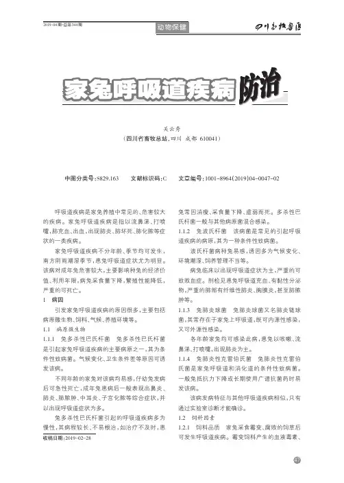 家兔呼吸道疾病防治