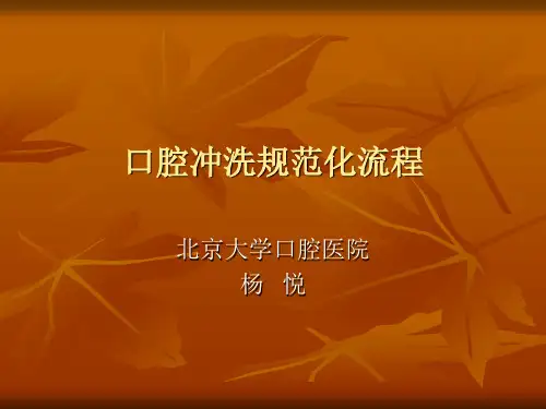 口腔冲洗规范化流程培训讲义PPT(27张)