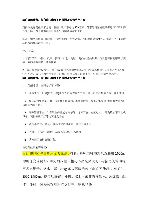 鸡白痢的症状：拉白痢(糊肛)的原因及快速治疗方案