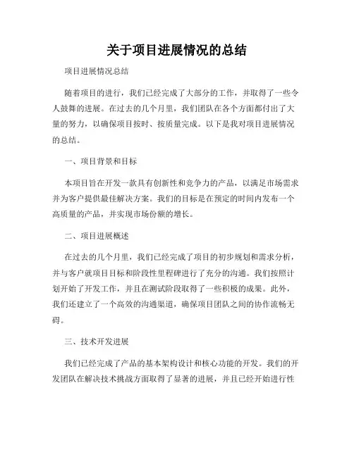 关于项目进展情况的总结