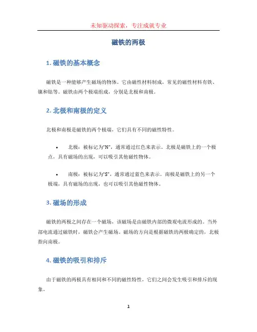 磁铁的两极