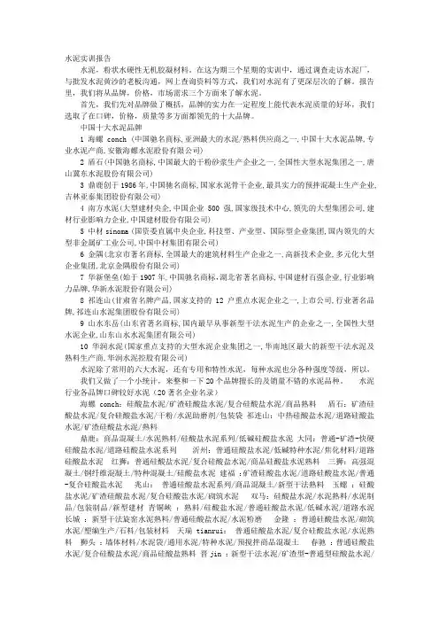 水泥实训报告