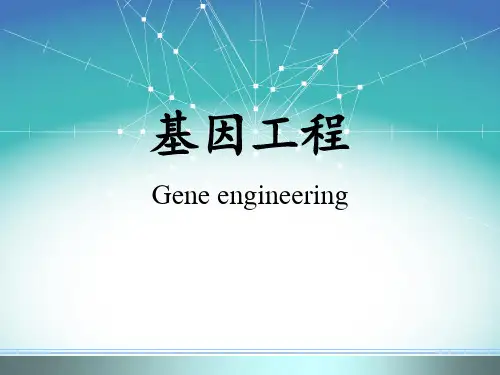 基因工程简介