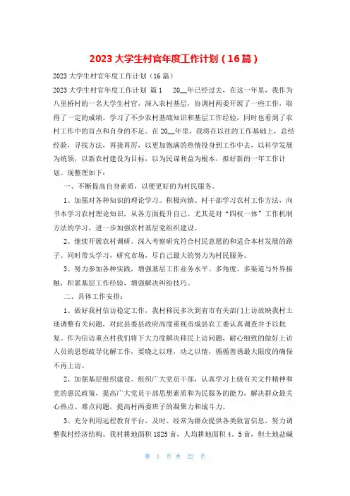 2023大学生村官年度工作计划(16篇)