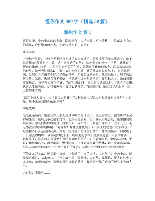 懂你作文800字(精选30篇)