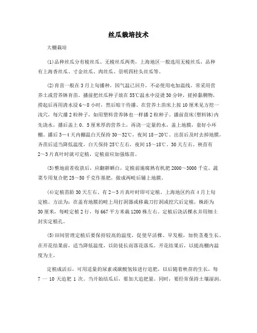 丝瓜栽培技术