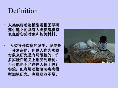 人类疾病动物模型_PPT幻灯片