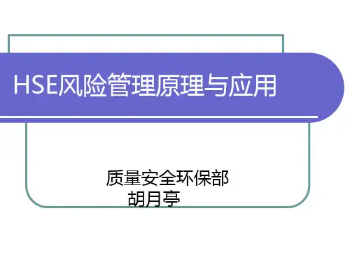 HSE风险管理原理与应用-胡月亭