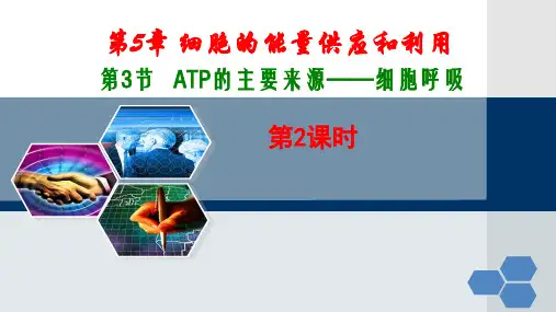 人教版生物必修一第五章第3节 ATP的主要来源